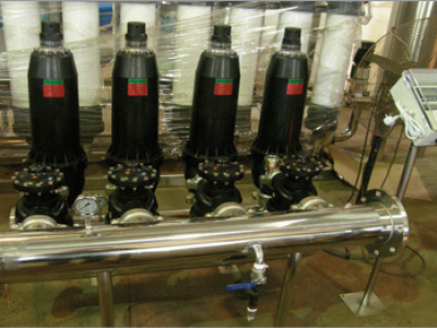 �൥Ԫ������